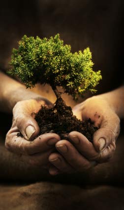 Self-Emploment Advice